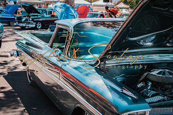 Cops N' Cruisers 2019-018