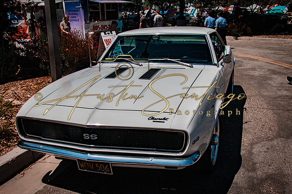 Cops N' Cruisers 2019-021