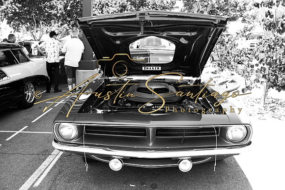Cops N' Cruisers 2019-026