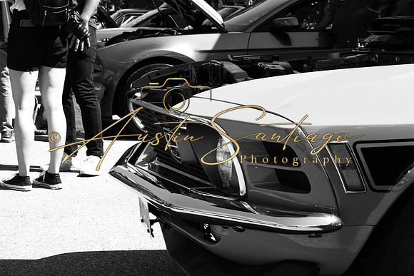 Cops N' Cruisers 2019-084