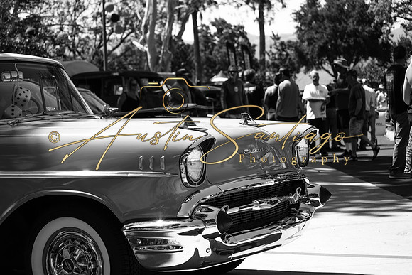 Cops N' Cruisers 2019-093