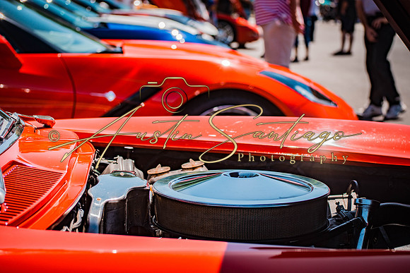 Cops N' Cruisers 2019-096