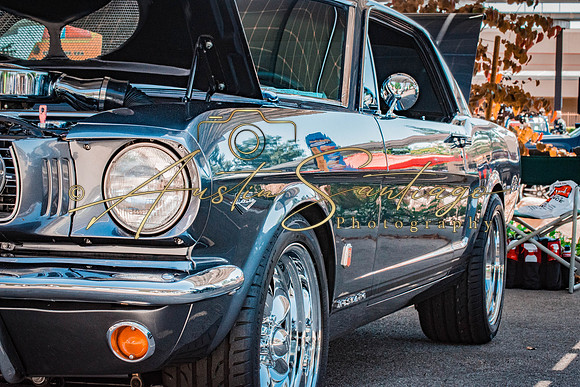 Cops N' Cruisers 2019-082