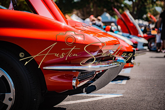 Cops N' Cruisers 2019-094