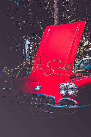 Cops N' Cruisers 2019-102