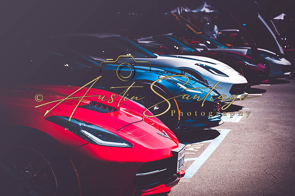 Cops N' Cruisers 2019-099