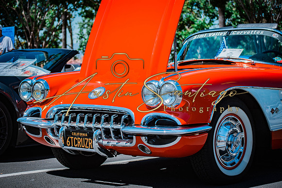 Cops N' Cruisers 2019-100