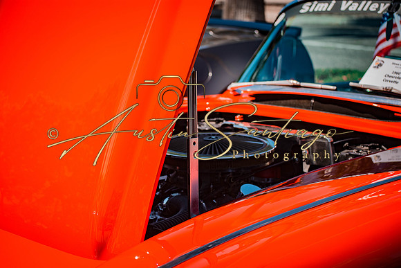 Cops N' Cruisers 2019-103