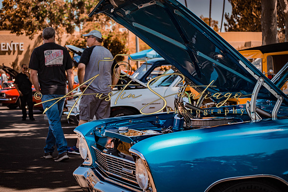 Cops N' Cruisers 2019-113