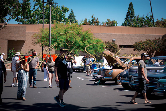 Cops N' Cruisers 2019-123