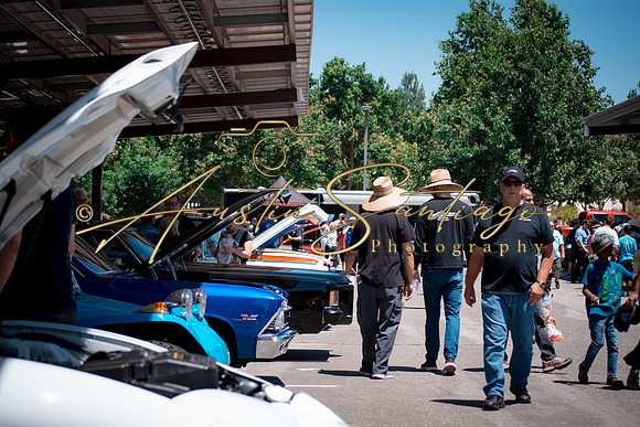 Cops N' Cruisers 2019-141
