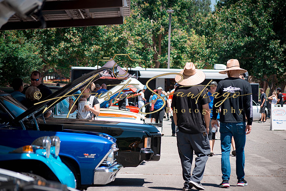 Cops N' Cruisers 2019-142