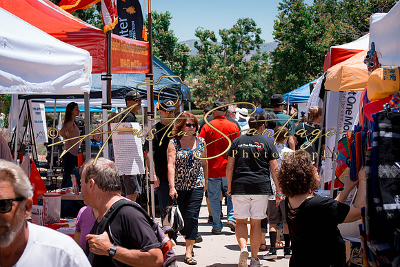 Cops N' Cruisers 2019-209