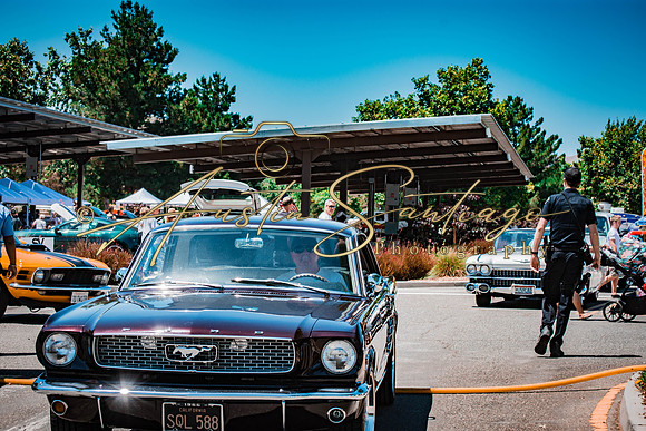 Cops N' Cruisers 2019-284