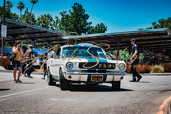 Cops N' Cruisers 2019-289