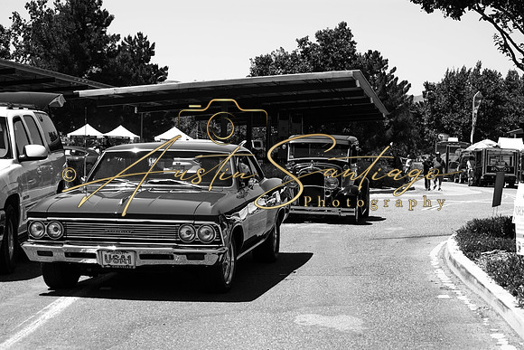 Cops N' Cruisers 2019-296