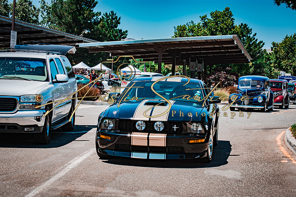 Cops N' Cruisers 2019-293